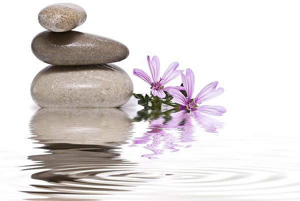 four rocks and a flower next to rippling water